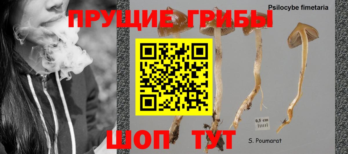 Псилоцибиновые грибы ЛСД Иркутск
